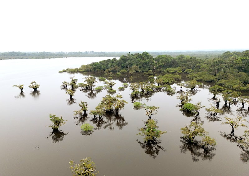 El año pasado, Ecuador completó el mayor canje de deuda por naturaleza de su tipo, una transacción que se espera genere ahorros por valor de más de US$1.000 millones para el gobierno. El año pasado, Ecuador completó el mayor canje de deuda por naturaleza de su tipo, una transacción que se espera genere ahorros por valor de más de US$1.000 millones para el gobierno.