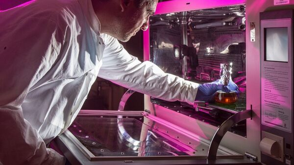 Qué puede aprender Costa Rica de Irlanda para potenciar su industria de dispositivos médicos Qué puede aprender Costa Rica de Irlanda para potenciar su industria de dispositivos médicos