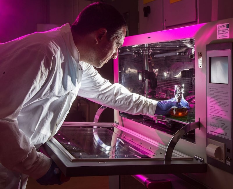 Galway es uno de los cinco centros mundiales de MedTech y sede de 8 de las 10 mejores empresas del sector, según la Universidad de Galway. Galway es uno de los cinco centros mundiales de MedTech y sede de 8 de las 10 mejores empresas del sector, según la Universidad de Galway.