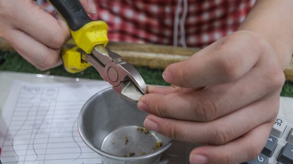 Volumen de operaciones ilegales en Venezuela es equivalente a 21% del PIB: Informe Volumen de operaciones ilegales en Venezuela es equivalente a 21% del PIB: Informe