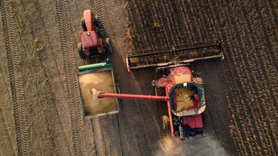 Los futuros de cereales estadounidenses suben previo a llamada telefónica entre Trump y Xi Los futuros de cereales estadounidenses suben previo a llamada telefónica entre Trump y Xi