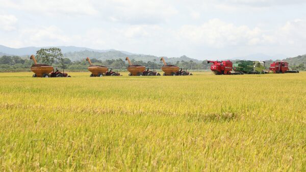 COP27: Dominicana recibirá más de US$40 millones para eficientizar uso del agua COP27: Dominicana recibirá más de US$40 millones para eficientizar uso del agua
