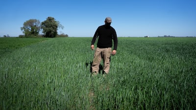 Bancos apuestan al auge agrícola argentino tras la reducción de impuestos de Milei Bancos apuestan al auge agrícola argentino tras la reducción de impuestos de Milei