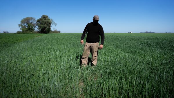 Bancos apuestan al auge agrícola argentino tras la reducción de impuestos de Milei Bancos apuestan al auge agrícola argentino tras la reducción de impuestos de Milei