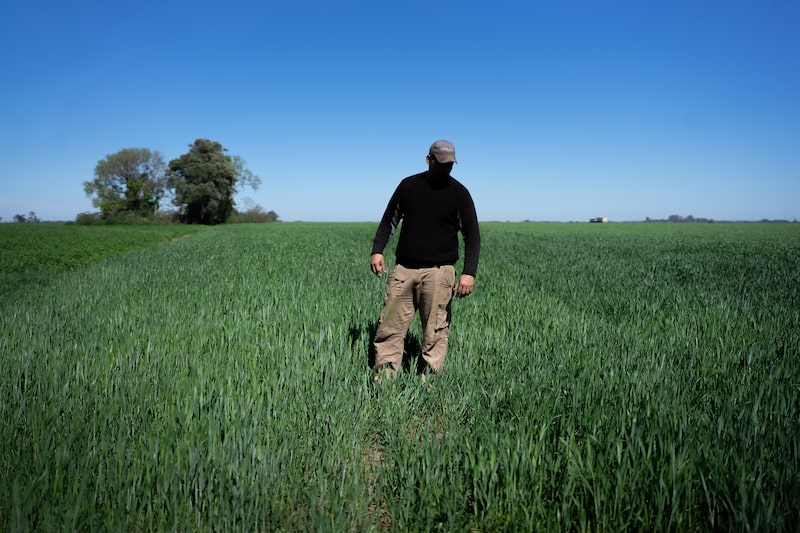 Un agricultor en un campo de trigo cerca de Rosario, Argentina. Un agricultor en un campo de trigo cerca de Rosario, Argentina.
