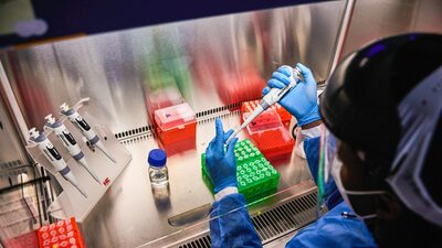 OMS discute nova variante da Covid-19 com mutações ‘incomuns’ OMS discute nova variante da Covid-19 com mutações ‘incomuns’