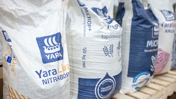 Yara aguarda regras do setor marítimo para produzir mais amônia verde, diz CEO Yara aguarda regras do setor marítimo para produzir mais amônia verde, diz CEO