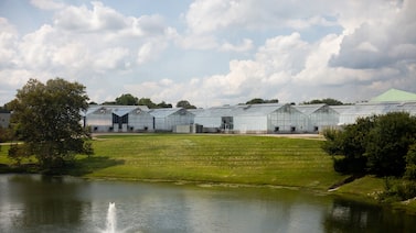 Corteva amplia investimento em defensivo agrícola em meio a pressão por saúde no setor Corteva amplia investimento em defensivo agrícola em meio a pressão por saúde no setor