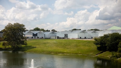 Corteva amplia investimento em defensivo agrícola em meio a pressão por saúde no setor Corteva amplia investimento em defensivo agrícola em meio a pressão por saúde no setor