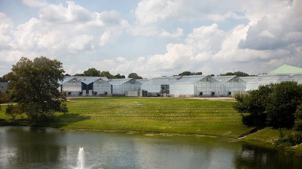 Corteva amplia investimento em defensivo agrícola em meio a pressão por saúde no setor Corteva amplia investimento em defensivo agrícola em meio a pressão por saúde no setor