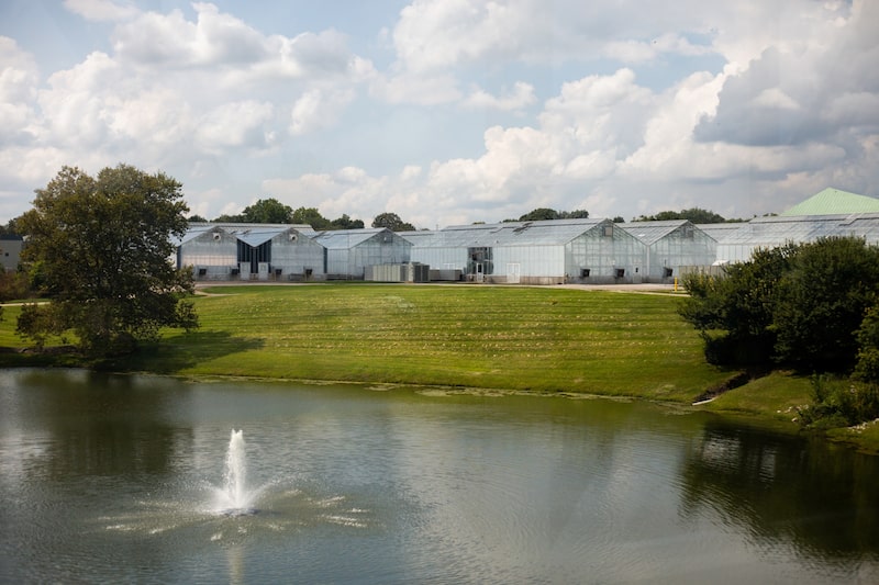 Empresa foi formada após a fusão da Dow Chemical com a DuPont em 2017 em meio a decisão de separar o negócio de sementes do de proteção de culturas (Foto: Kaiti Sullivan/Bloomberg) Empresa foi formada após a fusão da Dow Chemical com a DuPont em 2017 em meio a decisão de separar o negócio de sementes do de proteção de culturas (Foto: Kaiti Sullivan/Bloomberg)