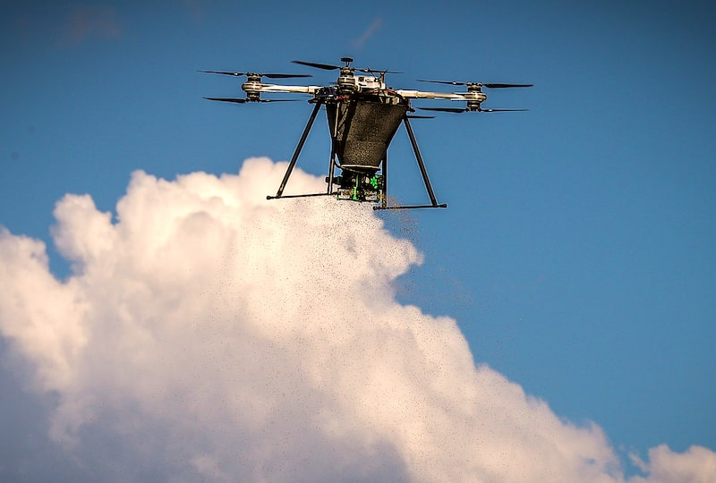 Dendra Systems Sees Drones Restoring Fire-Ravaged Forests Dendra Systems Sees Drones Restoring Fire-Ravaged Forests