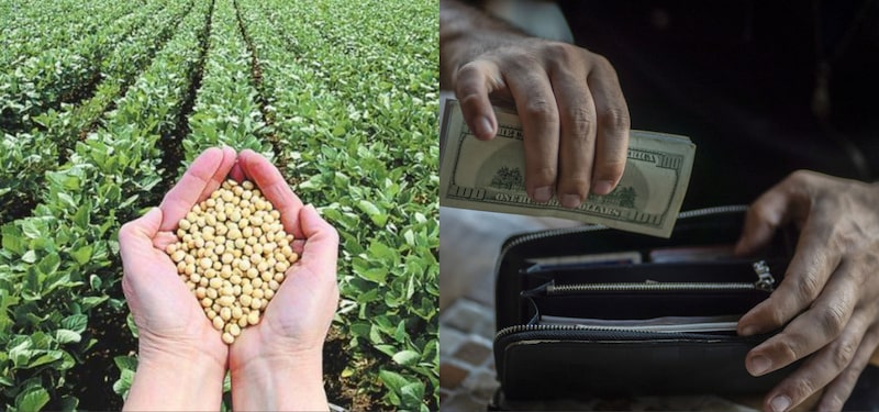 Fuente de la imagen 1: Gobierno de Uruguay / Imagen 2: Bloomberg Fuente de la imagen 1: Gobierno de Uruguay / Imagen 2: Bloomberg