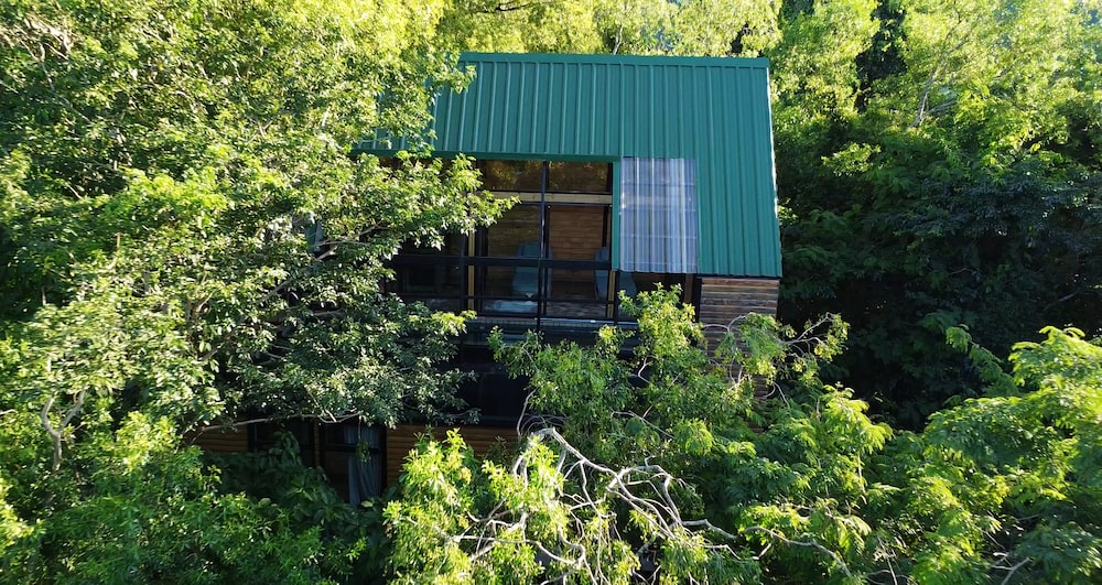 Entre Árboles Entre Árboles