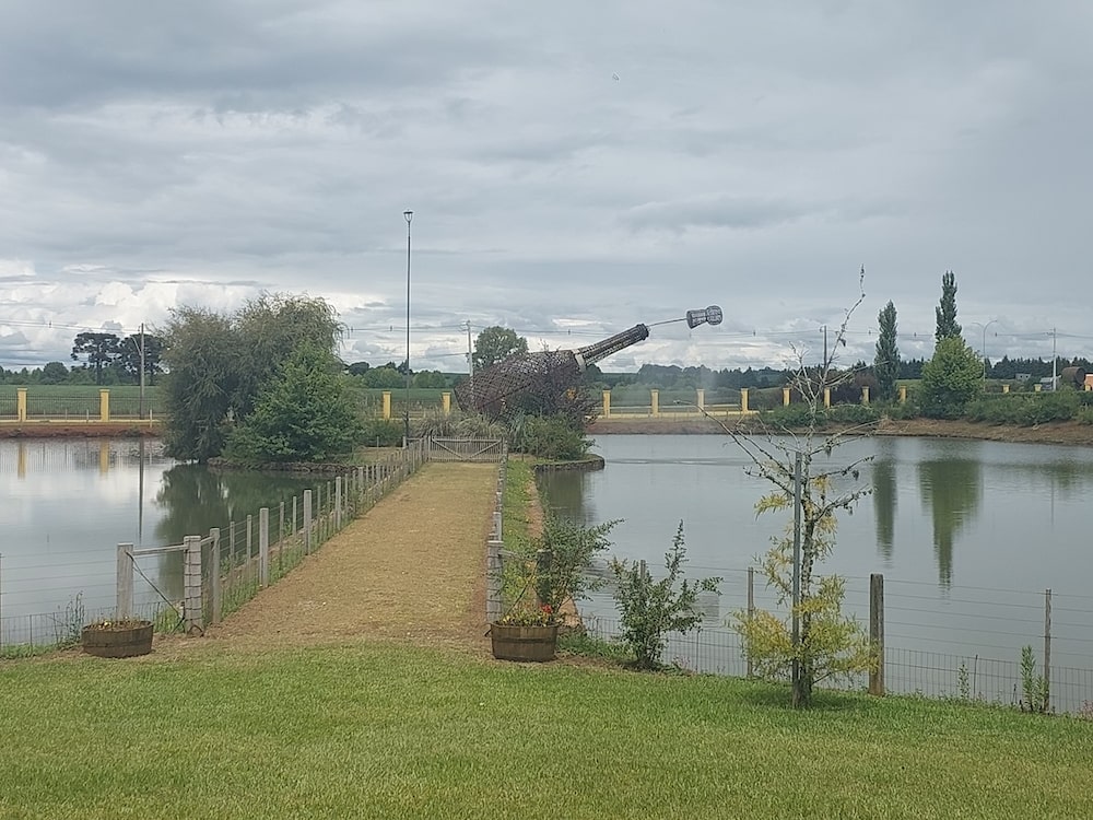 Do Pérgola ao luxo: vinho mais vendido do Brasil financia aposta premium da Campestre Do Pérgola ao luxo: vinho mais vendido do Brasil financia aposta premium da Campestre