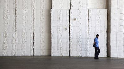 Ações de Suzano e Klabin estão caras ou baratas? Cenário divide o mercado Ações de Suzano e Klabin estão caras ou baratas? Cenário divide o mercado