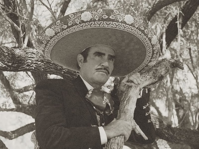 Vicente Fernández Vicente Fernández