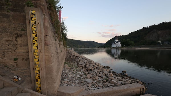 Nivel del río Rin cae más y algunas embarcaciones dejan de realizar transportes Nivel del río Rin cae más y algunas embarcaciones dejan de realizar transportes