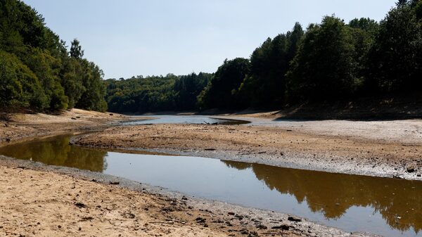 Inglaterra emite alerta oficial de estado de seca em meio a clima extremo Inglaterra emite alerta oficial de estado de seca em meio a clima extremo