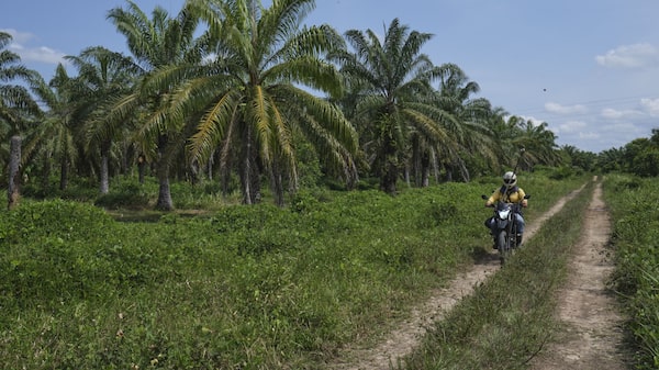 BID Invest lanza primer bono de sostenibilidad global por US$1.000 millones BID Invest lanza primer bono de sostenibilidad global por US$1.000 millones