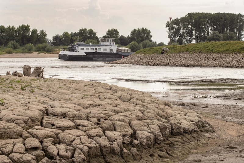 Los niveles del río están en niveles críticamente bajos Los niveles del río están en niveles críticamente bajos