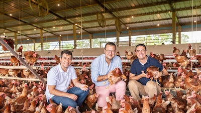 Raiar quer popularizar o ovo orgânico. 2 milhões de galinhas são só o começo, diz CEO Raiar quer popularizar o ovo orgânico. 2 milhões de galinhas são só o começo, diz CEO