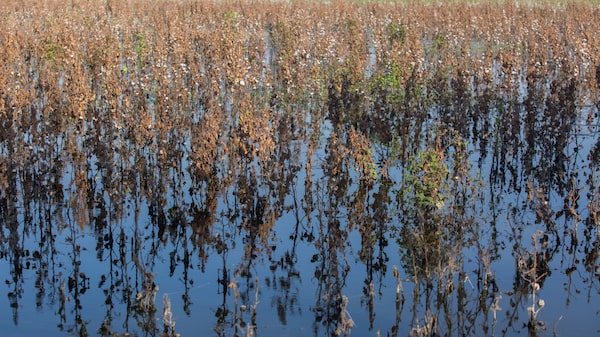 La ONU quiere instalar sistemas de alertas tempranas de desastres en todas partes La ONU quiere instalar sistemas de alertas tempranas de desastres en todas partes