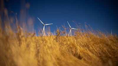 Cómo el conflicto en Irán impulsa el interés por energías renovables y la seguridad energética Cómo el conflicto en Irán impulsa el interés por energías renovables y la seguridad energética