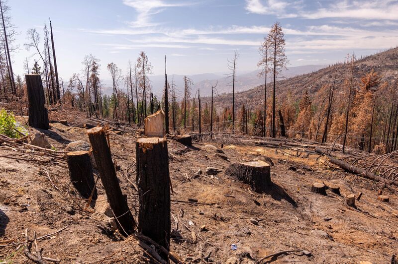 El verdadero costo del calentamiento global debería incluir problemas climáticos en los que ni siquiera hemos pensado aún. El verdadero costo del calentamiento global debería incluir problemas climáticos en los que ni siquiera hemos pensado aún.
