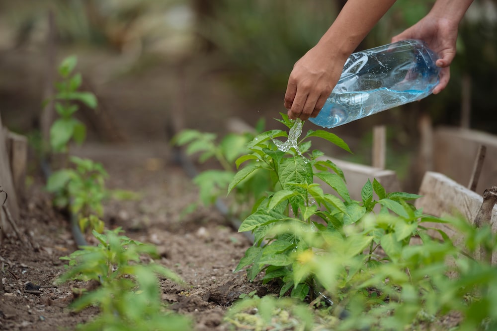 Los empleados rurales representan el 34,21% del total de trabajadores del país. Los empleados rurales representan el 34,21% del total de trabajadores del país.