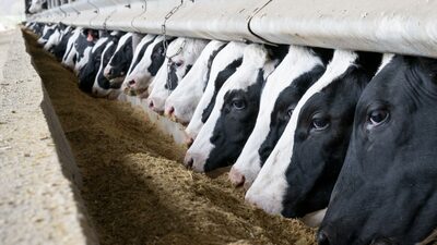 O fornecimento global de alimentos nunca esteve tão vulnerável: Amanda Little O fornecimento global de alimentos nunca esteve tão vulnerável: Amanda Little