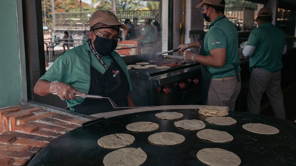 Ley Silla en México: ¿cuándo entra en vigor y a quiénes aplica? Ley Silla en México: ¿cuándo entra en vigor y a quiénes aplica?