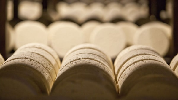 Queijo vira garantia antes de ficar pronto e rende empréstimo de € 10 mi na Itália Queijo vira garantia antes de ficar pronto e rende empréstimo de € 10 mi na Itália