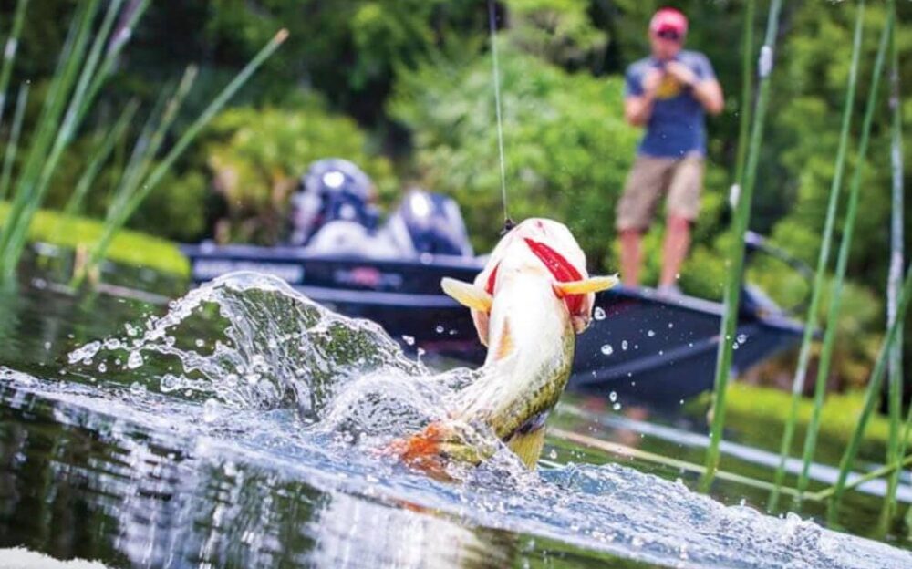 En Honduras no existe un marco legal para la pesca deportiva. En Honduras no existe un marco legal para la pesca deportiva.