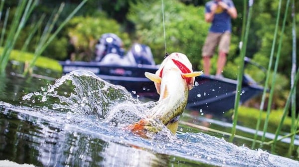 Honduras Angling to Attract Visitor Interest in Sportfishing Honduras Angling to Attract Visitor Interest in Sportfishing