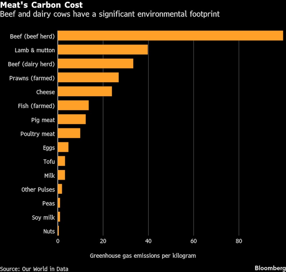 El ganado vacuno y lechero tiene una huella ambiental significativa El ganado vacuno y lechero tiene una huella ambiental significativa
