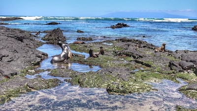 Viajar a Costa Rica, Perú, Brasil y Ecuador en 2026 podría ser una buena idea Viajar a Costa Rica, Perú, Brasil y Ecuador en 2026 podría ser una buena idea