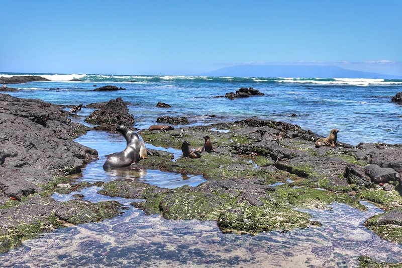 Panorámica de la isla Isabela, la más grande del archipiélago ecuatoriano de las islas Galápagos. Panorámica de la isla Isabela, la más grande del archipiélago ecuatoriano de las islas Galápagos.