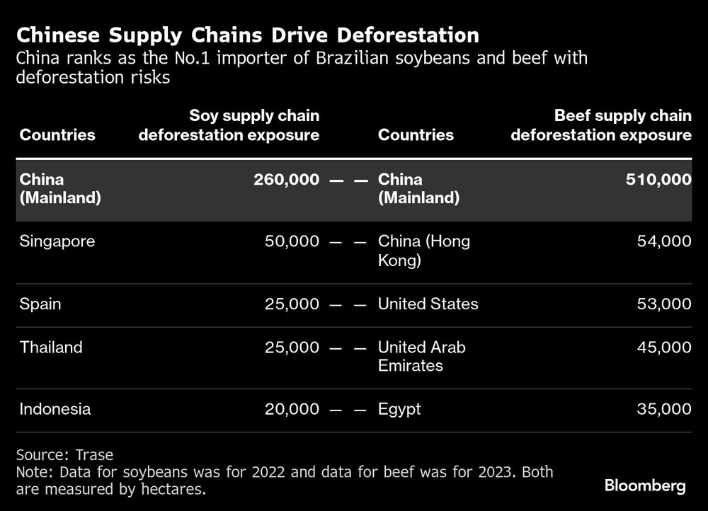 (Fonte: Trase via Bloomberg) (Fonte: Trase via Bloomberg)