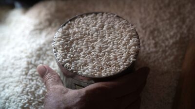 Índia pode gerar crise alimentar em países pobres por causa do arroz Índia pode gerar crise alimentar em países pobres por causa do arroz