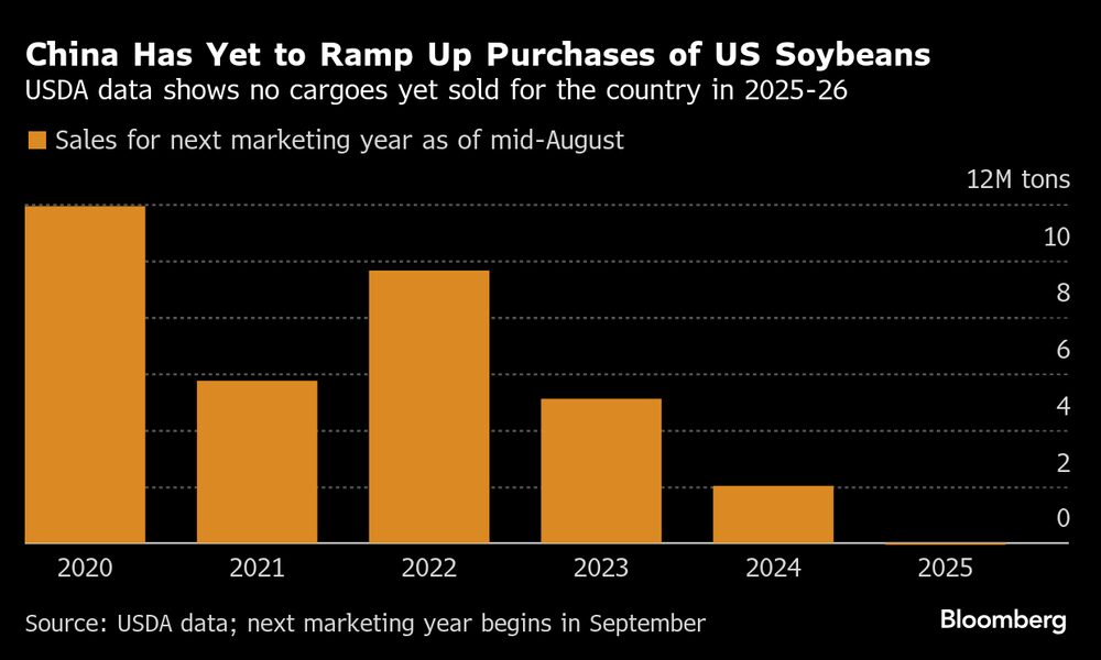 China aún no ha aumentado sus compras de soja estadounidense. China aún no ha aumentado sus compras de soja estadounidense.