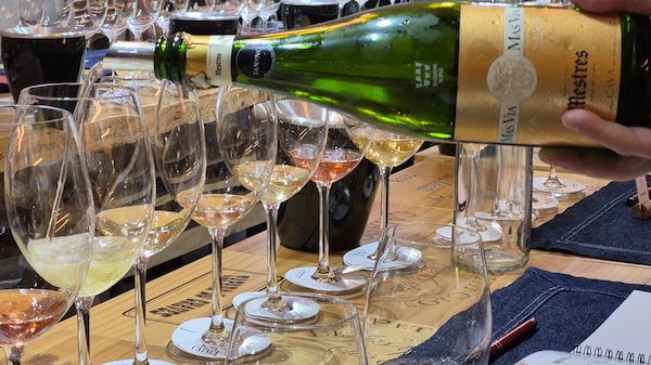 Exclusividade catalã: importadora foca em impulsionar vinho espanhol de luxo no Brasil Exclusividade catalã: importadora foca em impulsionar vinho espanhol de luxo no Brasil