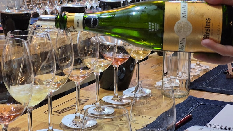 Exclusividade catalã: importadora foca em impulsionar vinho espanhol de luxo no Brasil Exclusividade catalã: importadora foca em impulsionar vinho espanhol de luxo no Brasil