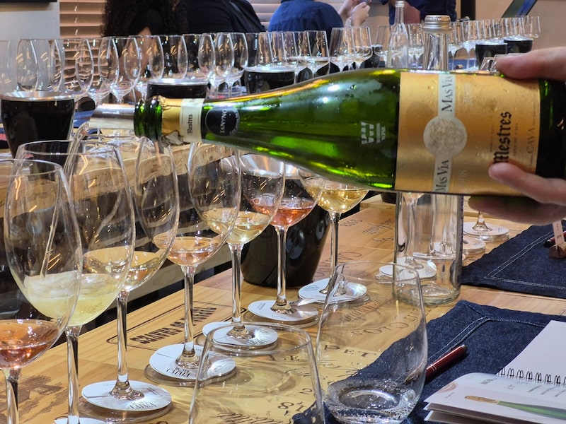 Exclusividade catalã: importadora foca em impulsionar vinho espanhol de luxo no Brasil Exclusividade catalã: importadora foca em impulsionar vinho espanhol de luxo no Brasil