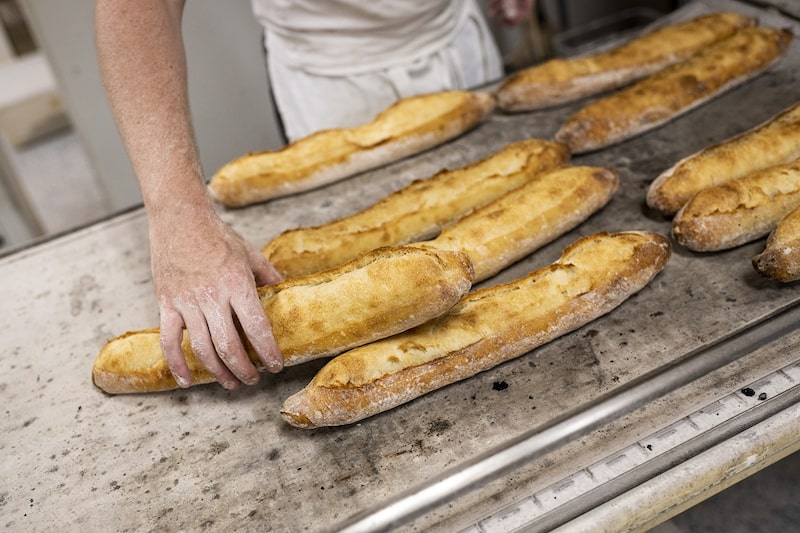Farinha além da commodity: o investimento da Nita para impulsionar pães e massas premium Farinha além da commodity: o investimento da Nita para impulsionar pães e massas premium