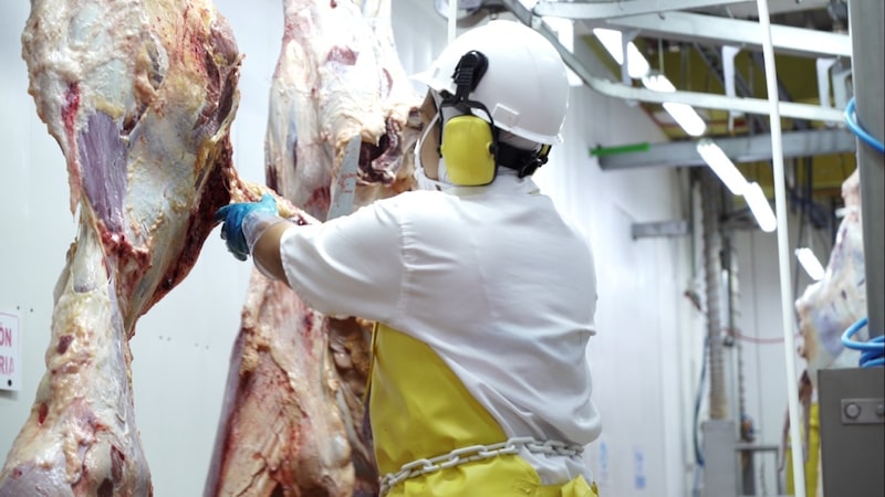 Mercado de la carne en Colombia Mercado de la carne en Colombia