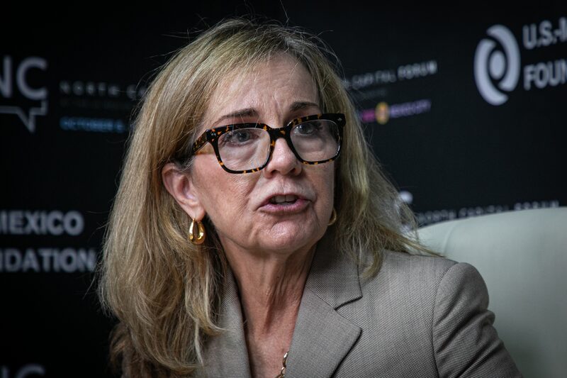 Whitney Baird, presidenta y directora del Consejo estadounidense de Negocios Internacionales (USCIB, por sus siglas en inglés). Whitney Baird, presidenta y directora del Consejo estadounidense de Negocios Internacionales (USCIB, por sus siglas en inglés).