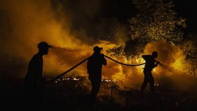 El Niño se aproxima de intensidade máxima e aumenta as ameaças ao clima El Niño se aproxima de intensidade máxima e aumenta as ameaças ao clima