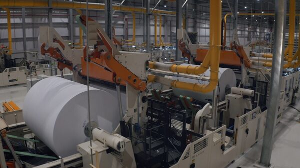 Tarifas ameaçam até a exportação de papel higiênico para os EUA, diz Suzano Tarifas ameaçam até a exportação de papel higiênico para os EUA, diz Suzano