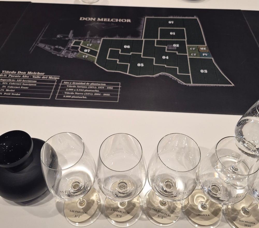 A era do vinho parcelado: como a Don Melchor dividiu o vinhedo e criou um ícone chileno A era do vinho parcelado: como a Don Melchor dividiu o vinhedo e criou um ícone chileno